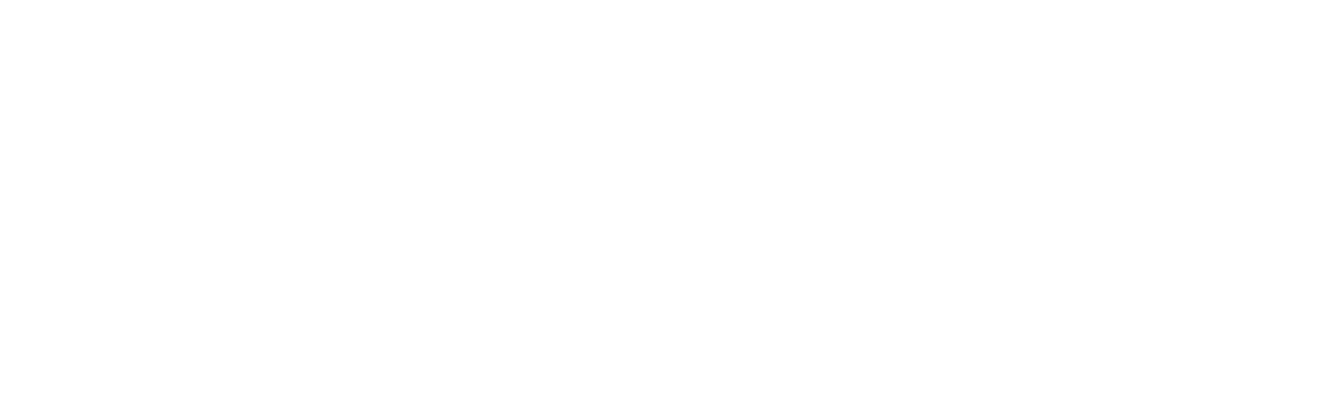 Micronaut Foundation